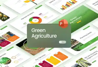 65ef0228-6797-4c20-8e42-6a6933a0a4cf-2 (1)